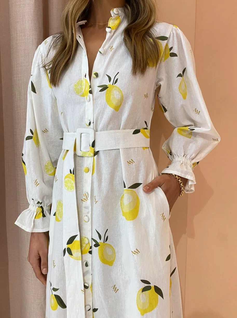 Ambra Maddalena Raphaella Dress in Lemonata Print