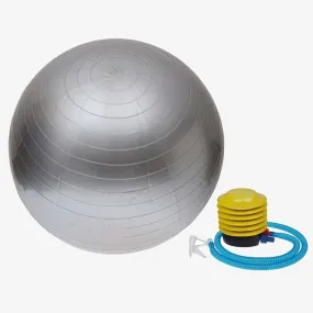 Desire Gym Gym Ball 55cm Silver